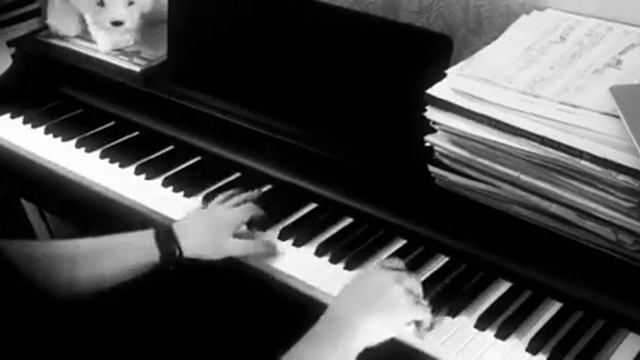 Choliqushi Piano music смотреть онлайн