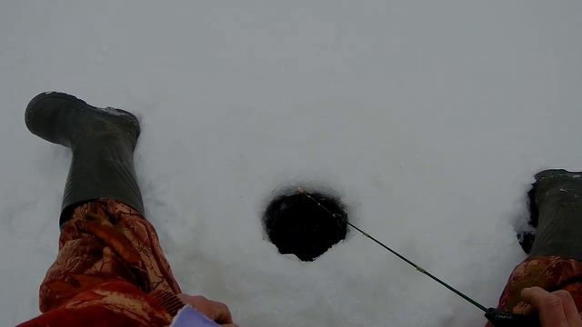 Рыбалка на безмотылку: зацеп, трофеи с зацепа./Fishing Asmatico: Hook, Trophies From Hook.