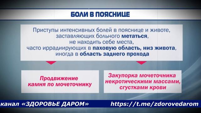 Признаки заболевания почек у взрослых смотреть онлайн