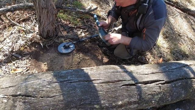 Minelab GPX 5000 & SDC 2300 - Gold Nuggets