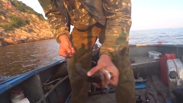 Ловля рыбы | Клюнула РЫБА ЗУБАТКА смотреть онлайн