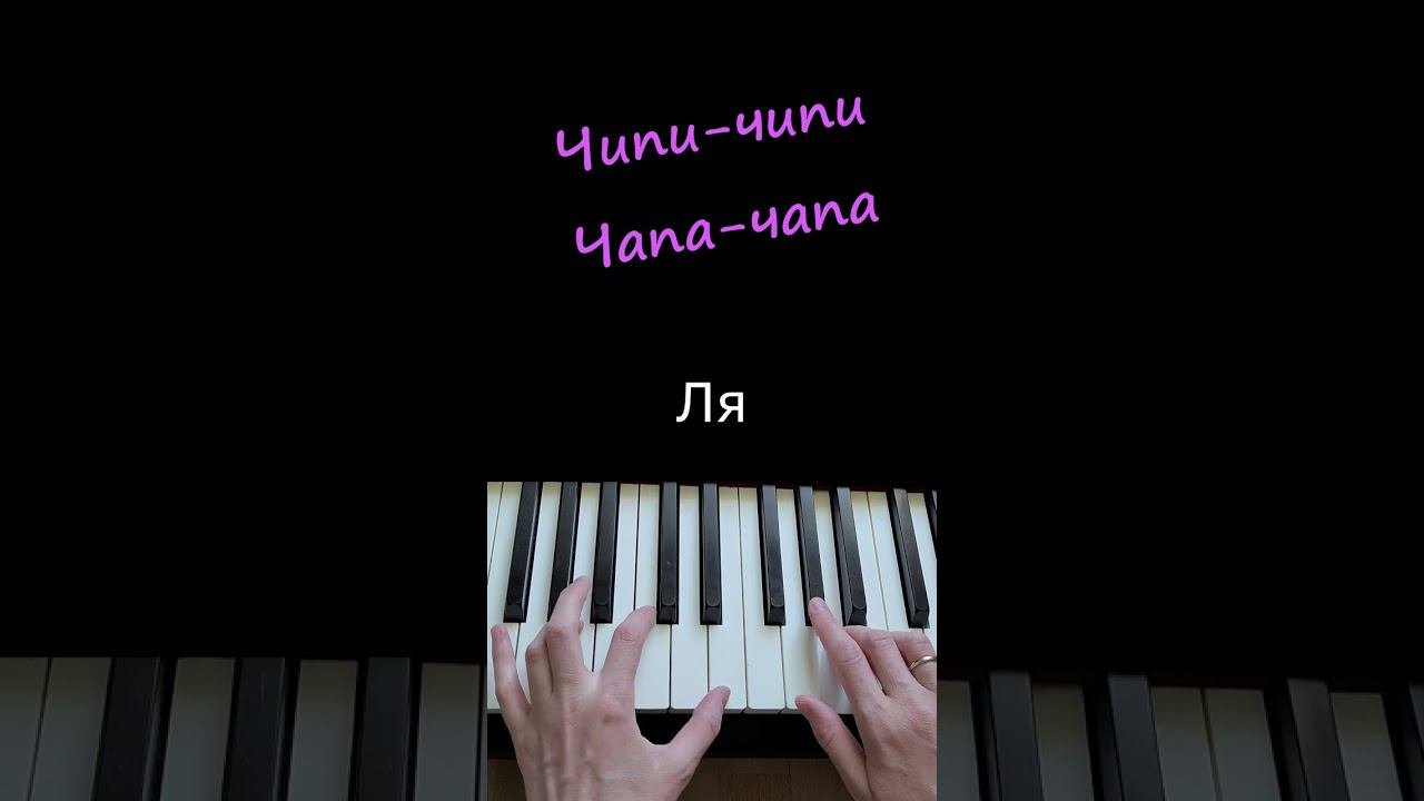 Чипи-чипи чапа-чапа #piano #music #чипичипи #чипичипи пианино #чипичапа #чипичипичапачапа пианино смотреть онлайн