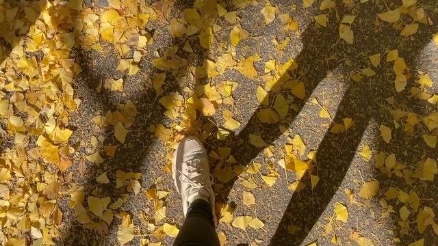 Моя японская ЖИЗНЬ / Новая работа /Рамен / Кавагое - путешествие из Токио смотреть онлайн