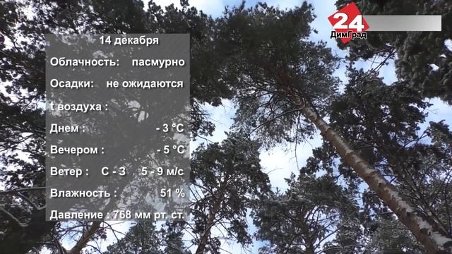 ПОГОДА НА ЗАВТРА. 13.12.2021 смотреть онлайн