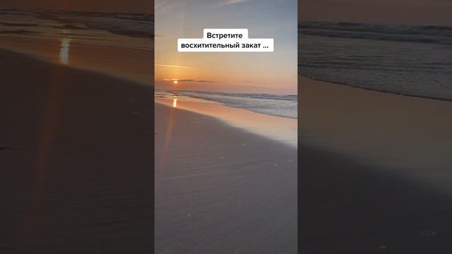 Куда поехать на отдых кроме Гданська? Штутово Sztutowo смотреть онлайн