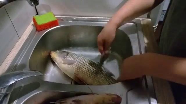 Секрет от Алёнушки Или как легко почистить сазана смотреть онлайн