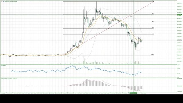Короткий обзор  DOGECOIN