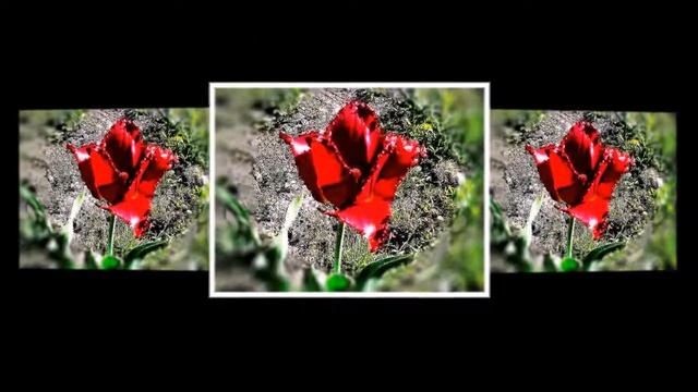 ЛИКИ ТЮЛЬПАНОВ Маэстро Эрнесто Кортазар смотреть онлайн