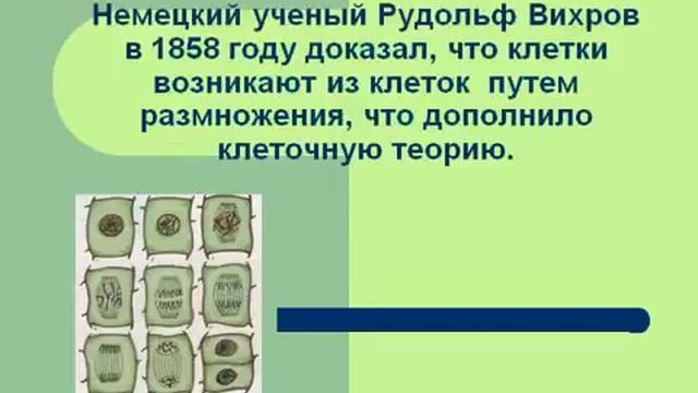 Клетка - история изучения. Клеточная теория.AVI смотреть онлайн