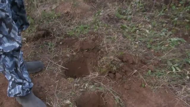 Сварог и слабо проводящая цель смотреть онлайн