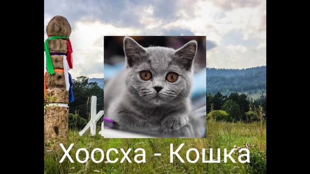 Урок хакасского языка N3. Домашние животные.