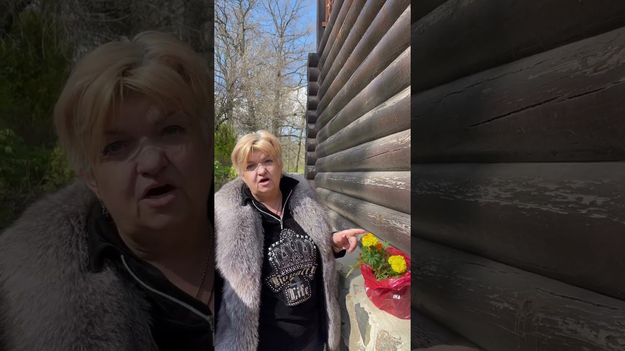 ПОЧЕМУ БАРХАТЦЫ ИЛИ ТАГЕТИС САМЫЙ ЖЕЛАННЫЙ ЦВЕТОК В САДУ #shorts смотреть онлайн