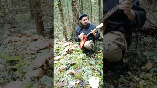 Last of us в лесу на балалайке смотреть онлайн