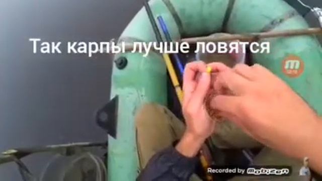 Как ловить карпа смотреть онлайн