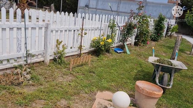 Наталья Курбанова встречает гостей в деревне ♡гармония а возможно ПОКАЗУХА?НаКРылА сТол...