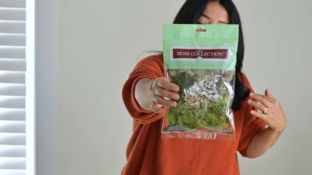 My First Preserved Moss Wall Piece (And the Ugliest Green color EVER) смотреть онлайн