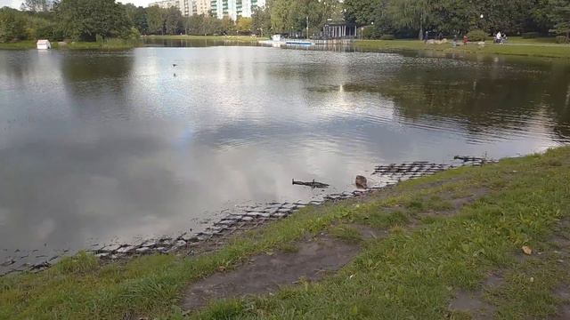 парк Ангарские пруды, Москва смотреть онлайн