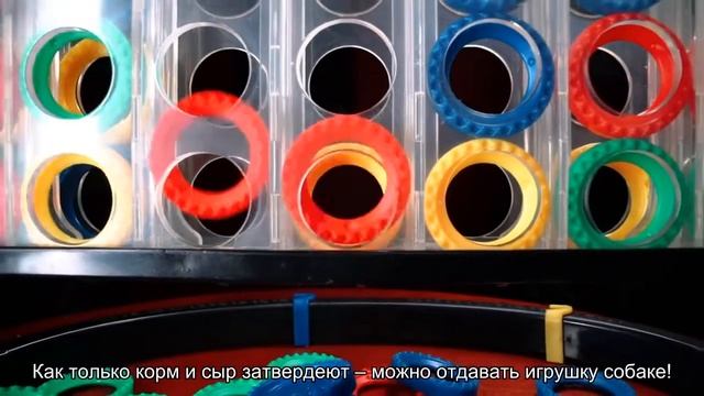 Чем наполнить игрушку «Конг»? смотреть онлайн