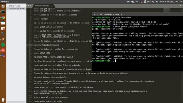 INSTALACION DE ORACLE Y MYSQL EN UBUNTU 16.04 LTS PARTE1 смотреть онлайн