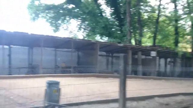 Парк Миниатюр в Бахчисарае.Зоопарк. смотреть онлайн