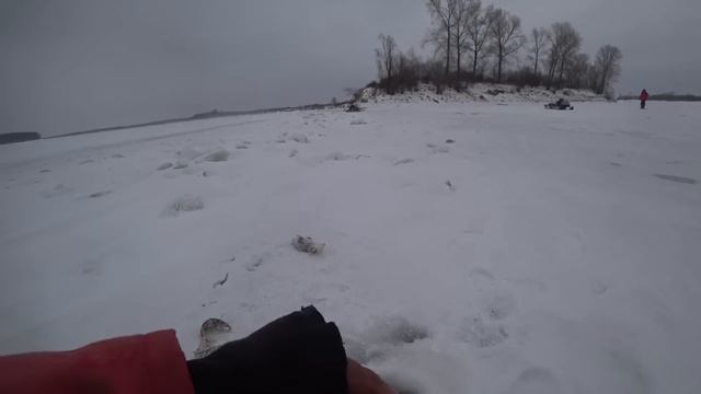 ВОТ ЧТО ЗНАЧИТ ПОПАЛ В ЛУНКУ!! Первый лед! Рыбалка на балансир! Крупный окунь.Не Якутия. смотреть онлайн