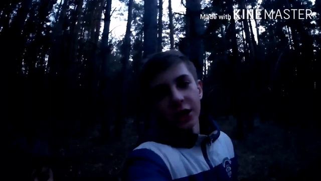 ВЫЖИВАНИЕ В ЛЕСУ, строим шалаш на дереве, запекаем картошку#2 смотреть онлайн