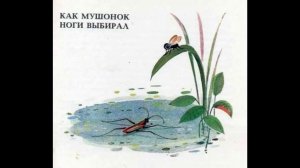Сказки про Мушонка и его друзей (Дмитриев) 2 , Как мушонок себе ноги выбирал