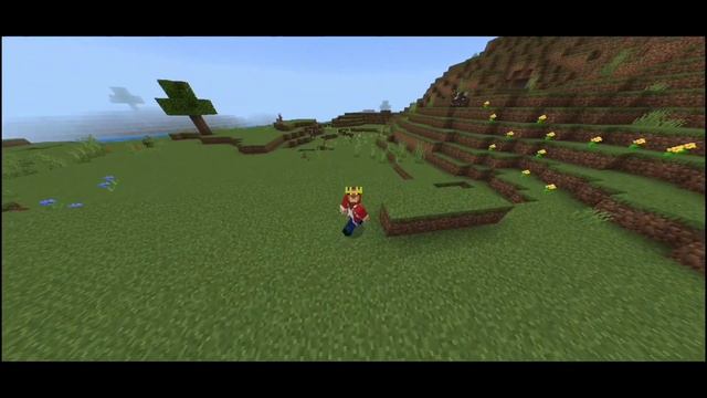 Public Smp (Java/Pe) 24/7 Server || Survival SMP 1.19 || Anyone can join || смотреть онлайн