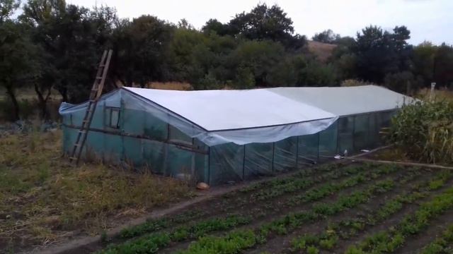 Синоптики обещают похолодание и заморозки. Утепляем теплицу. смотреть онлайн