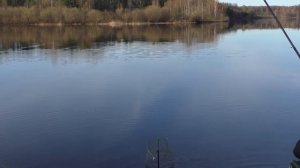 Ловля на болонскую удочку весной! Продолжаю осваивать снасть!