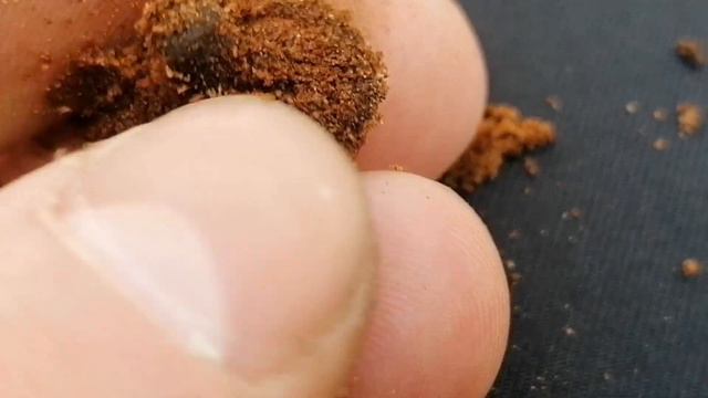 КТО мог такое натворить??? ну как они могли такое сделать с ней???