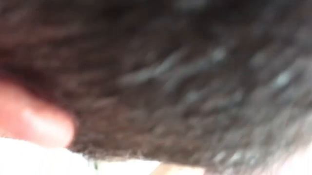 Что делать если бачек плохо или совсем не набирает воду