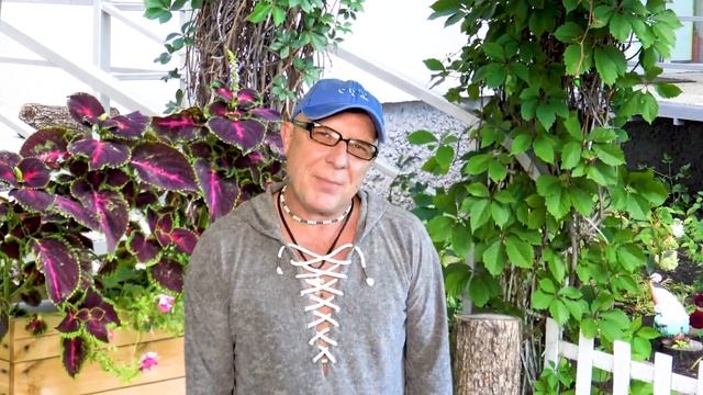 ЧЕТЫРЕ ДНЯ ТЫ НЕ СО МНОЙ - Валерий Палаускас смотреть онлайн