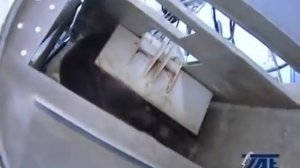 Ритуальный бокс убоя крс