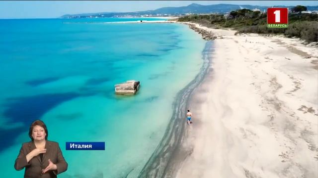 Итальянские пляжи оккупировали ядовитые медузы смотреть онлайн