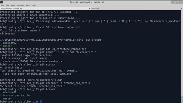 Linux 202 ( Cours 7 - correction atelier GIT смотреть онлайн