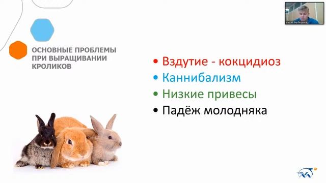 КРОЛИКОВОДСТВО. Актуальные вопросы разведения и кормления смотреть онлайн