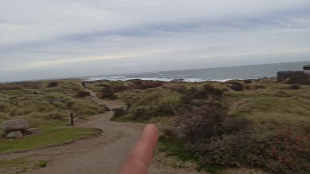 Тюлени на севере Дании смотреть онлайн