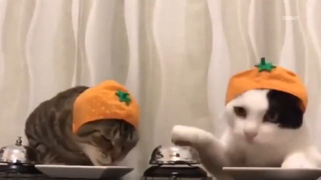 Ремонт компьютеров в Волгограде смотреть онлайн