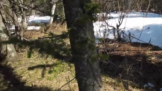 Рецепты для гурманов и ценителей вкуса 