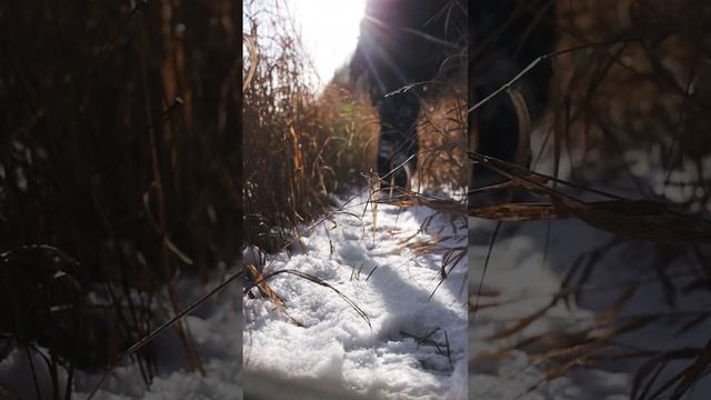 Что может быть лучше?… чем поездка выходного дня в горы смотреть онлайн