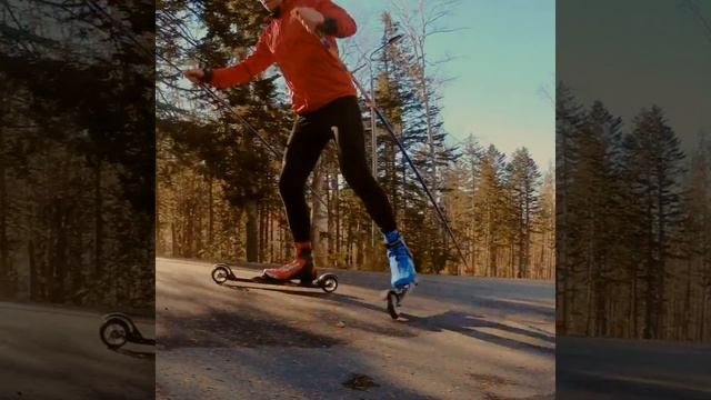 Тизер - сравнительный тест Spine CARRERA CARBON PRO 598 и Alpina ESK 2.0