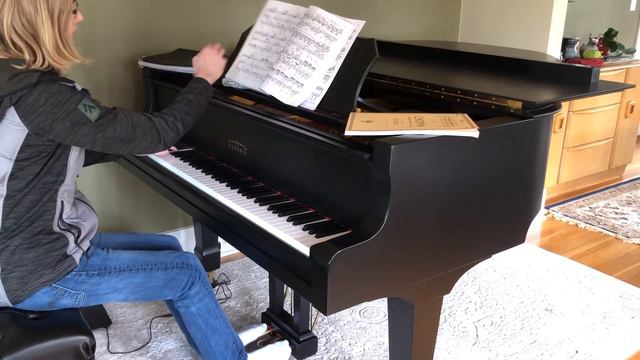 Godowsky Passacaglia variations 1-39 practice-through смотреть онлайн