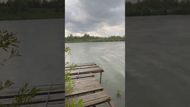 Приехала на рыбалку, а тут дождь льет  #рыбалка #fishing #рыбаки #природа #дождь #рыбынет