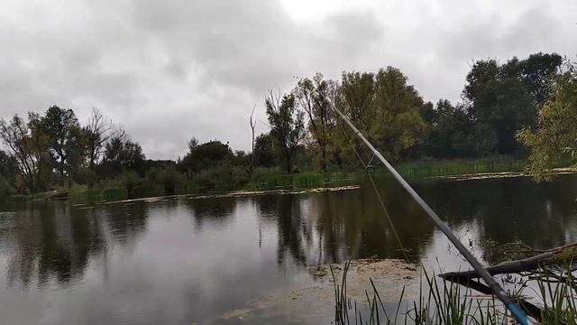 Поехал ловить щуку, а ловил окуня в сентябре на спиннинг с берега смотреть онлайн