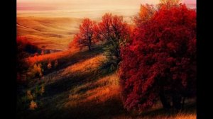 Аккордеон — Ринат Валеев — Татар баян татарская музыка на баяне гармонь көе — Tatar accordion music