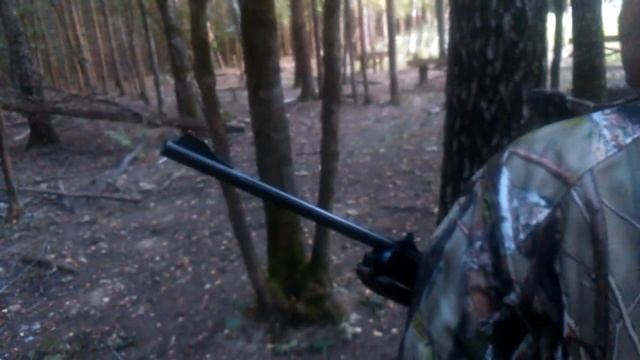 Джабеевич на охоте "Охота брат" смотреть онлайн