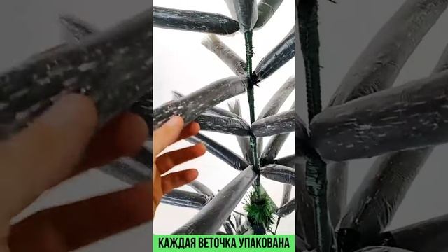 Сосна пушистая и ель белоснежная смотреть онлайн