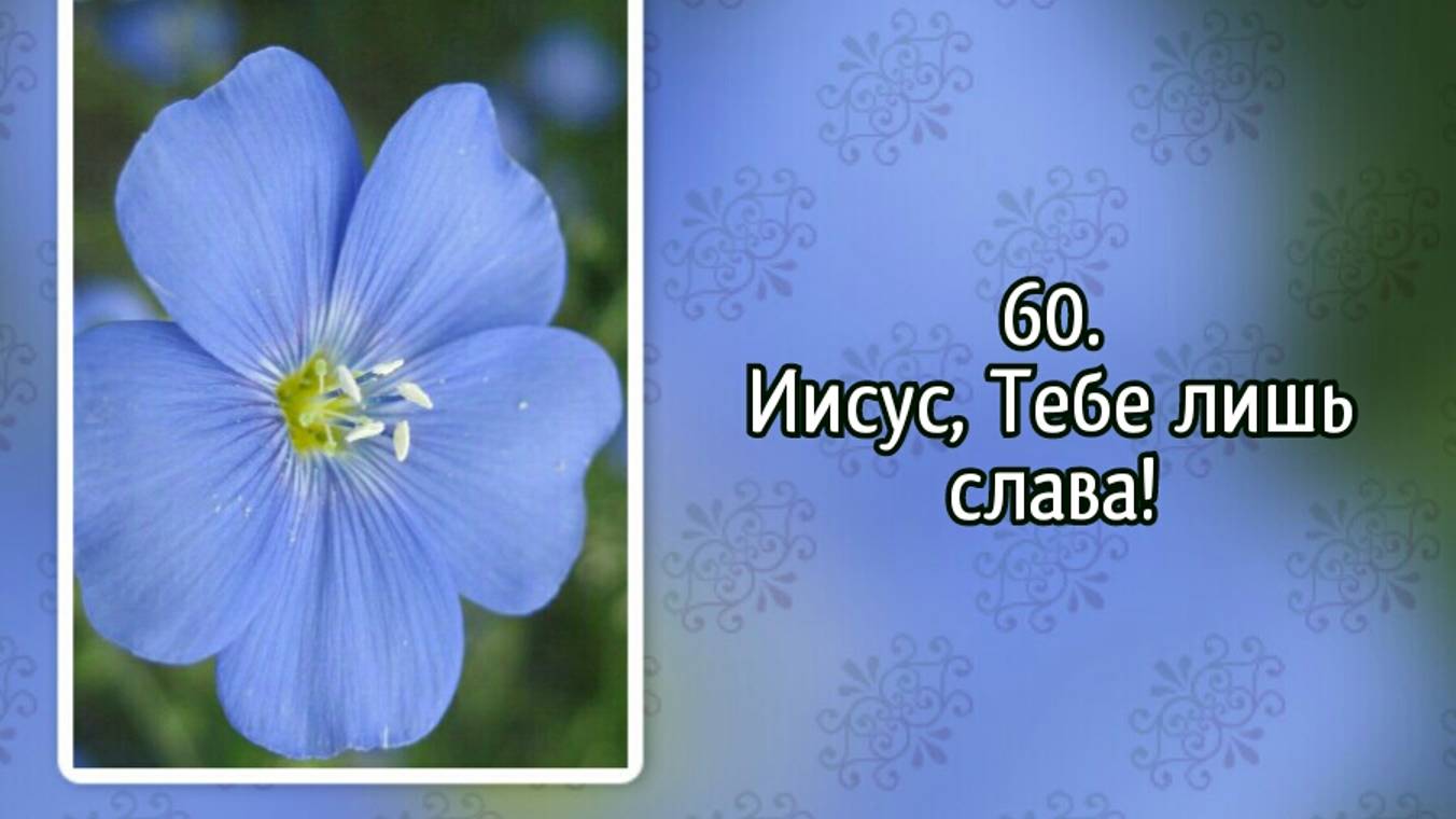 Гимны надежды 60 Иисус, Тебе лишь слава! (-) смотреть онлайн