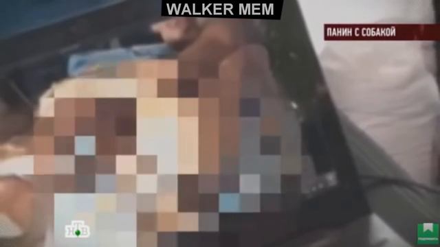 АКТЁР ТРАХНУЛ СОБАКУ